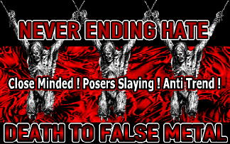 Never Ending Hate
